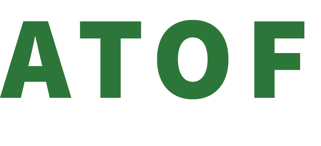 ABOVE THE OBSTACLE FOUNDATION INC. logo